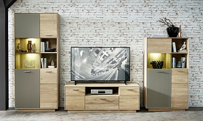 Модульная стенка для гостиной "Омега-8"