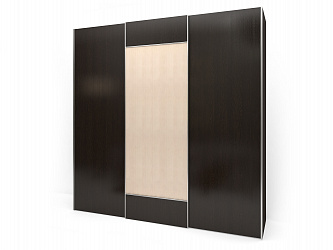 Шкаф купе 3-х дверный "Рондо 3-12"